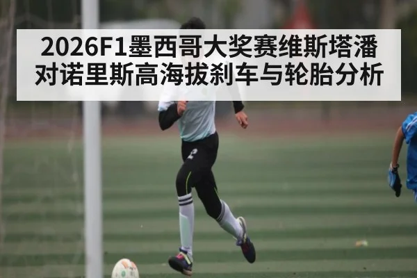 2026F1墨西哥大奖赛维斯塔潘对诺里斯高海拔刹车与轮胎分析
